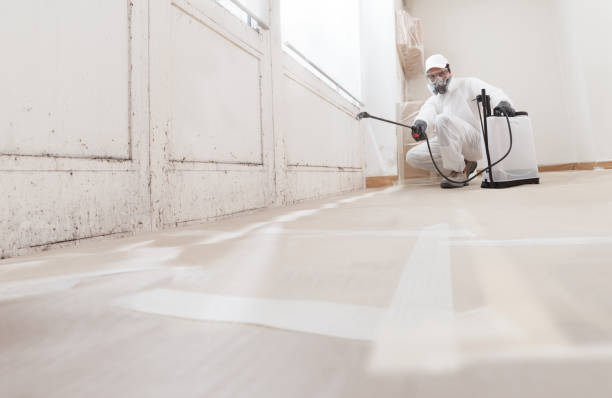 24/7 Emergency Mold Removal experts in Heathsville, VA